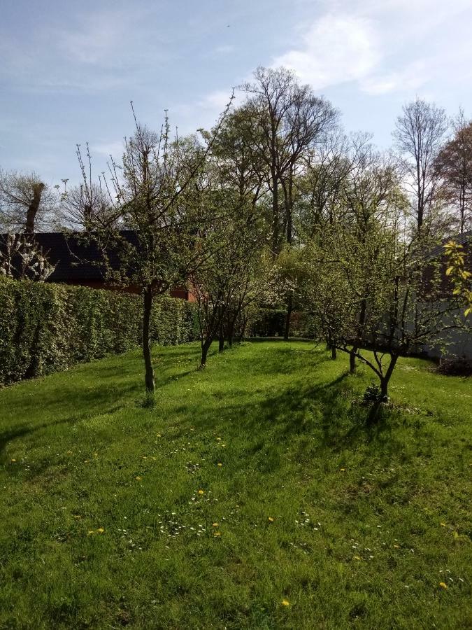 Gite Du Montagnard Oxelaere Bagian luar foto